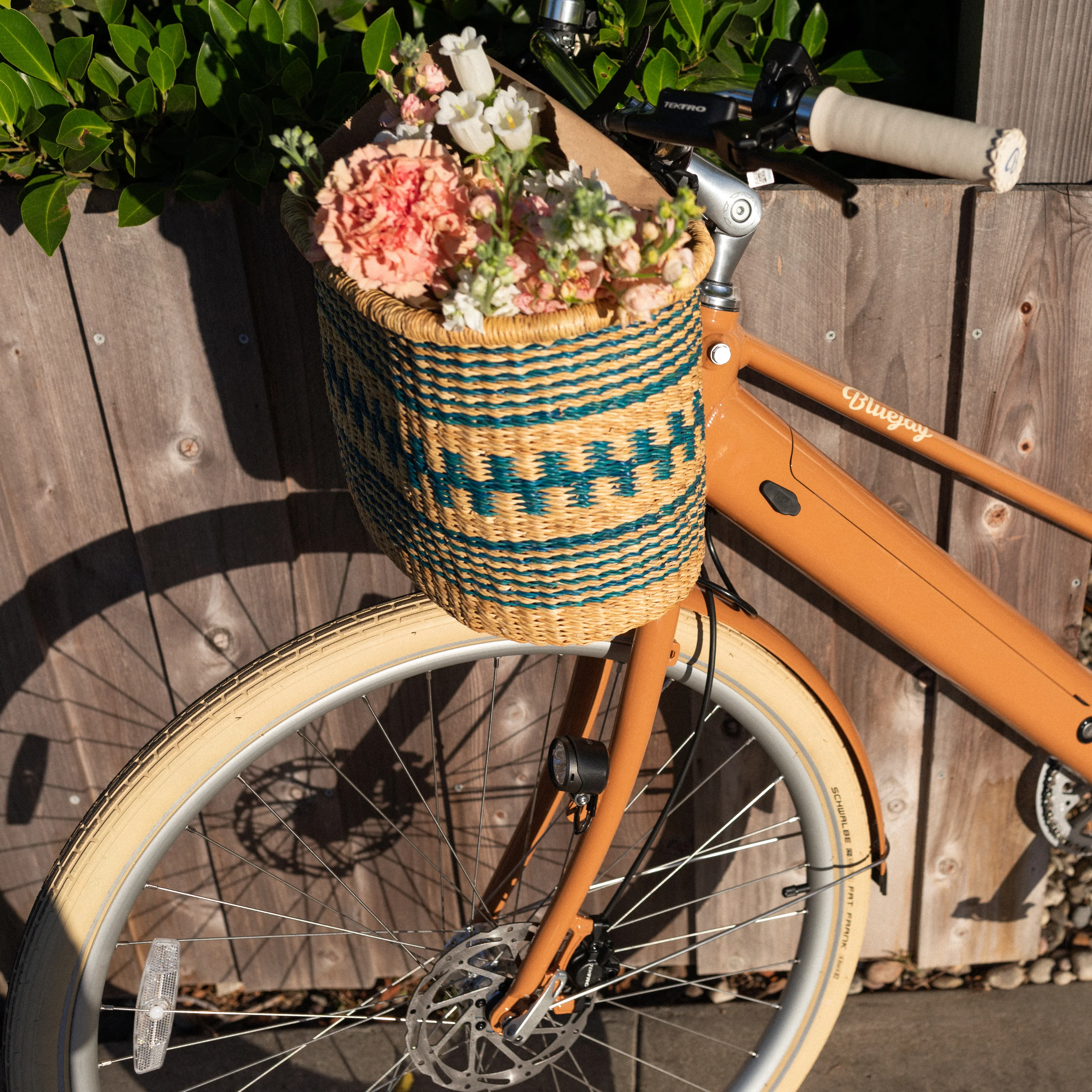 Big Blue Moma - Front Basket - Image 4