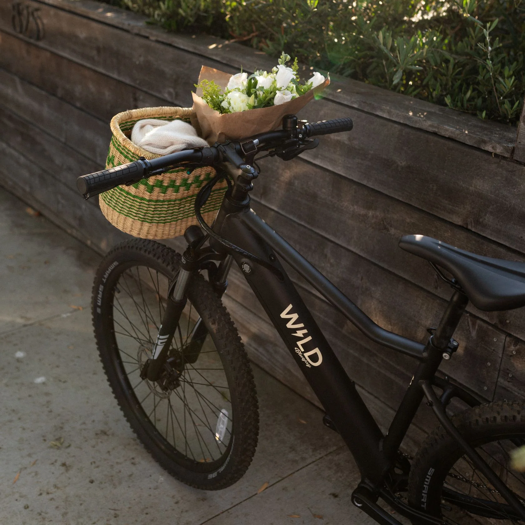 Bluejay WILD: Adult - Classic Black Electric Bike - Image 3