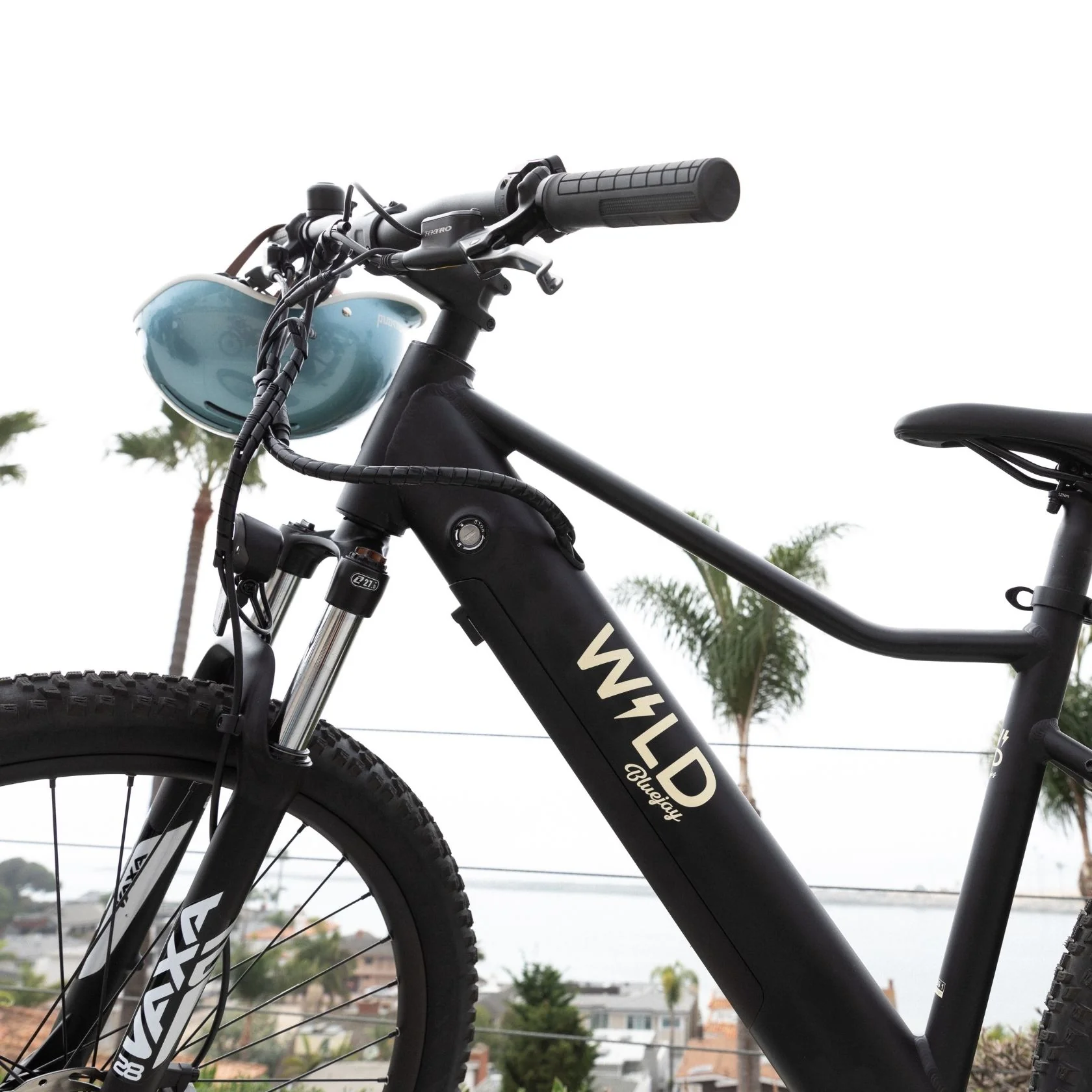 Bluejay WILD: Adult - Classic Black Electric Bike - Image 8