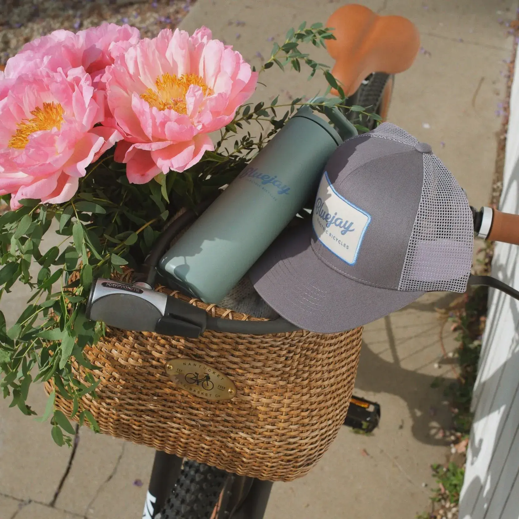 Bluejay Bike Gift With Purchase