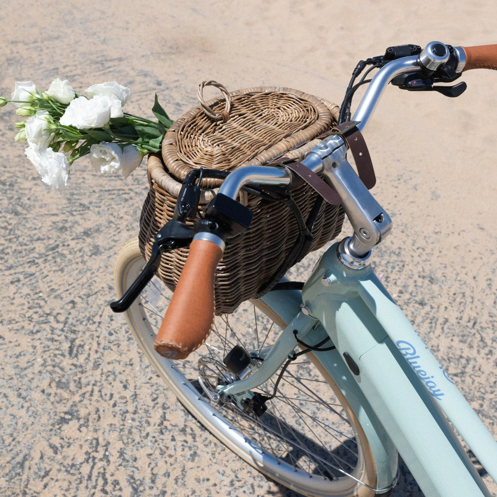 Bluejay Premiere Lite - Mint Green Electric Bike - Image 6
