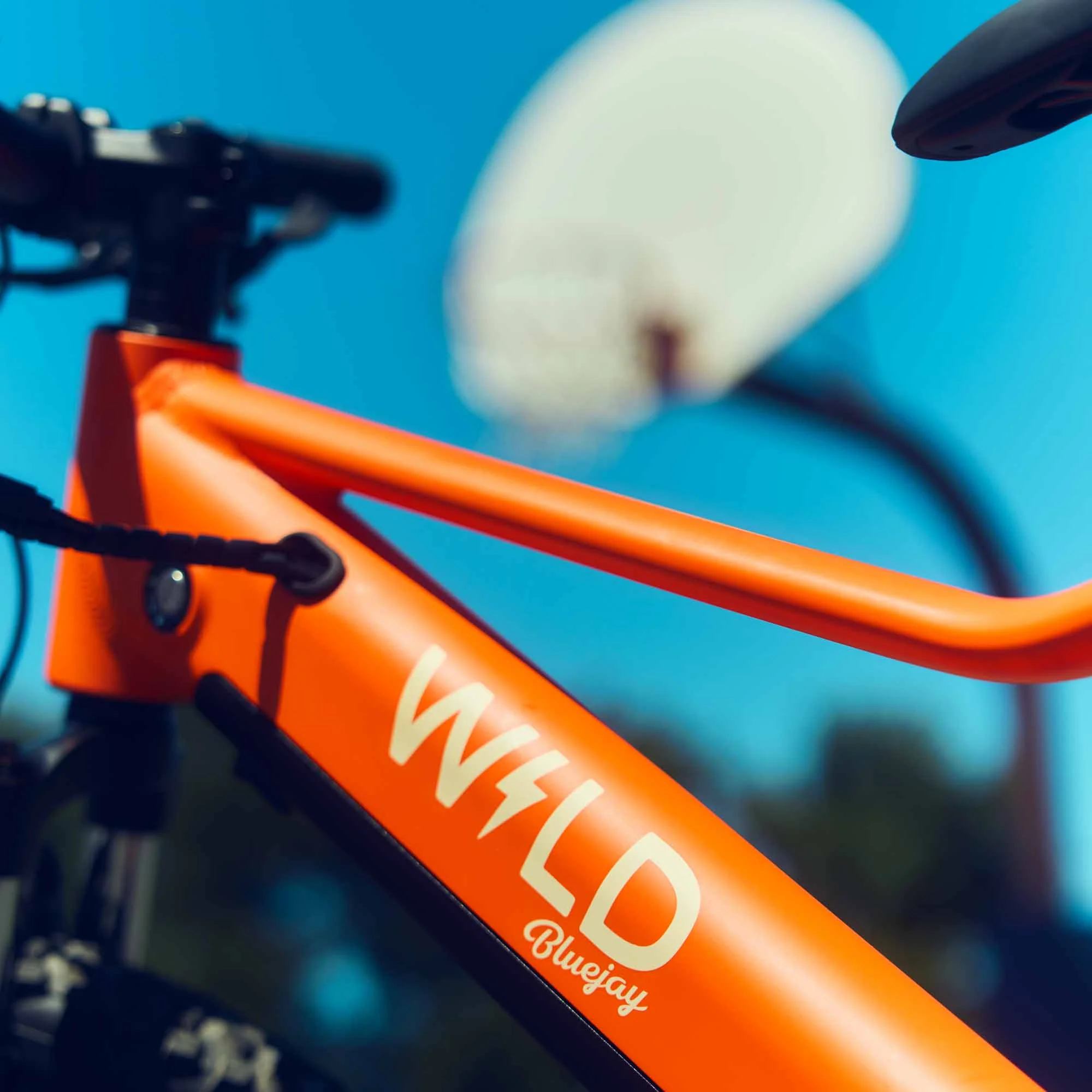 Bluejay WILD - Kids Electric Orange Electric Bike - Image 8